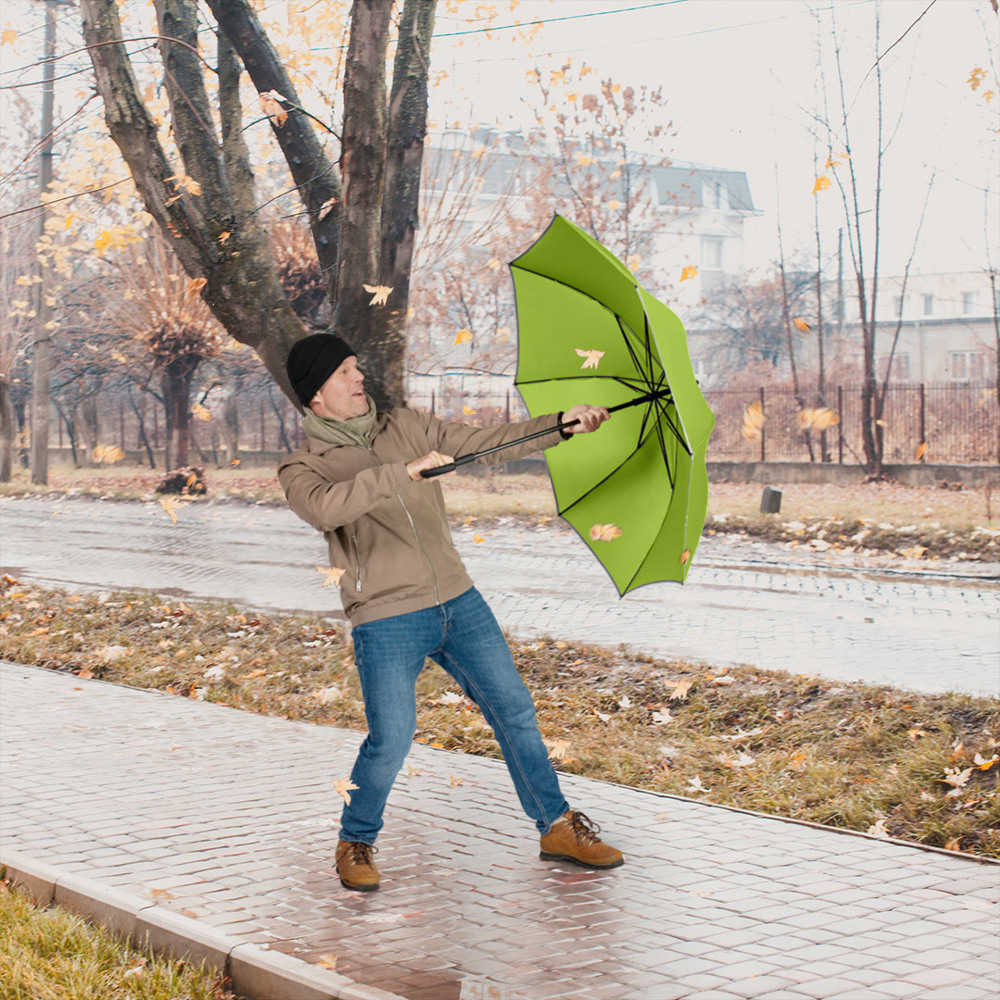 4375 AC-Midsize-Stockschirm FARE® Windmatic®